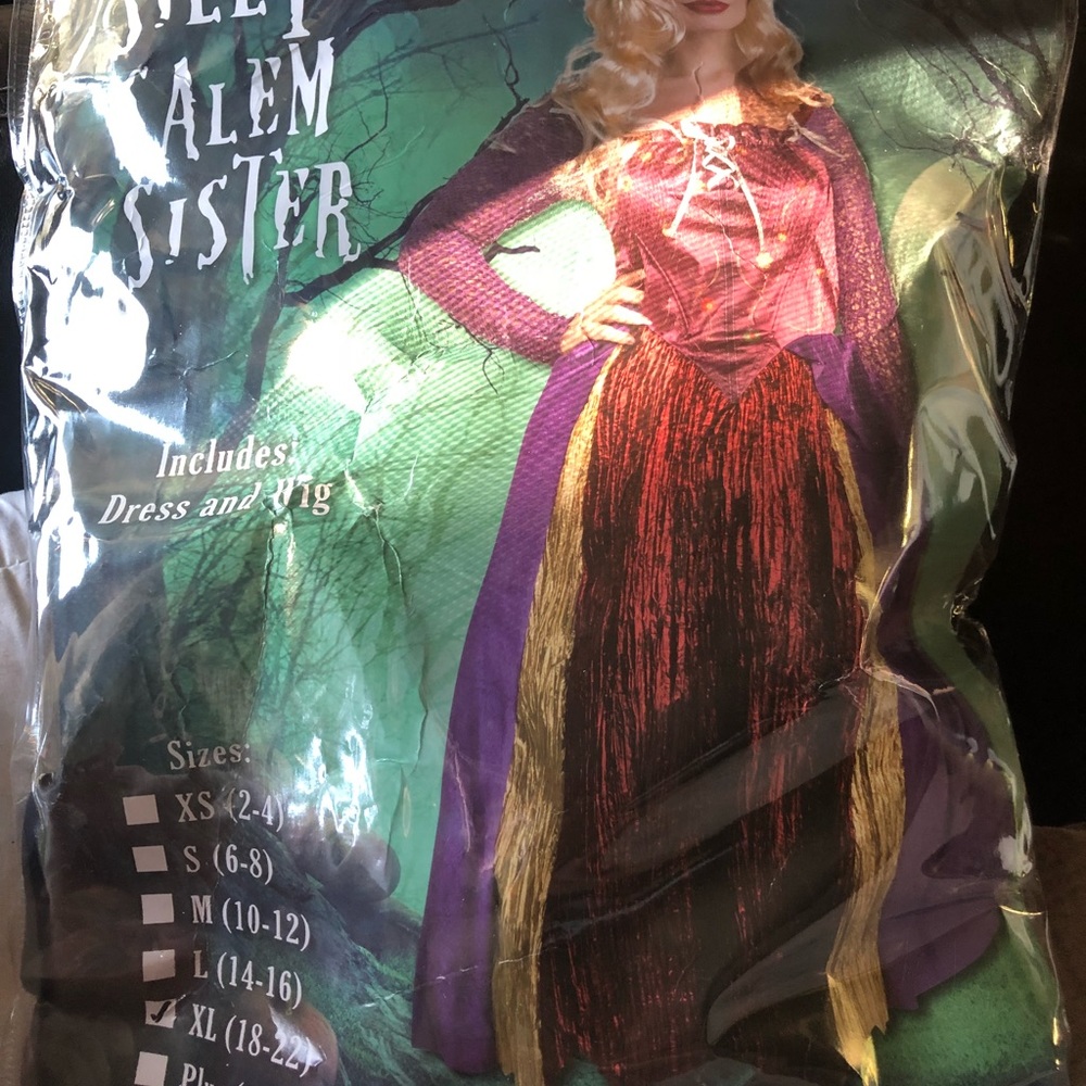 Sarah Sanderson Costume WITH wig